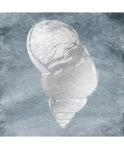 Jace Grey, WHITE SHELLS I