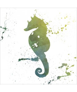 Jace Grey, SPLATTER SEAHORSE