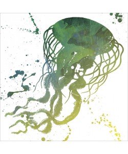 Jace Grey, SPLATTER JELLYFISH