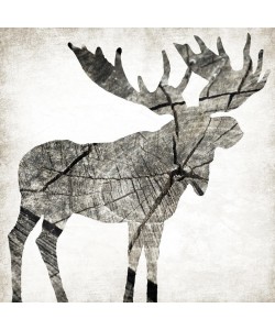 Jace Grey, WOOD MOOSE I