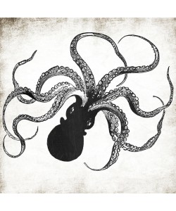 Jace Grey, INK OCTOPUS