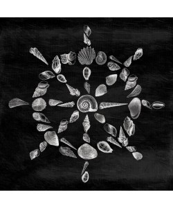 Jace Grey, SHELL WHEEL I