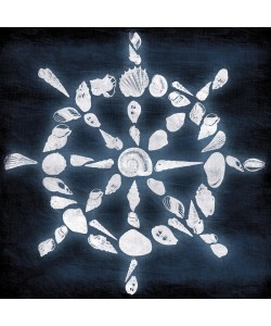 Jace Grey, SHELL WHEEL II