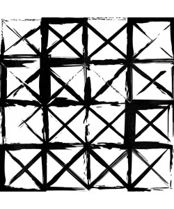 Jace Grey, BLACK BOX LINES