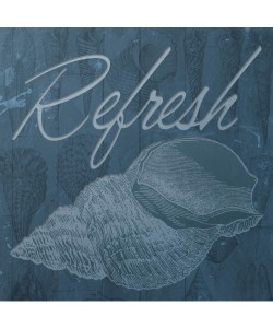 Jace Grey, SHELL REFRESH