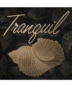 Jace Grey, SHELL TRANQUIL