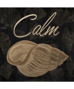 Jace Grey, SHELL CALM