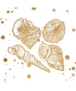 Jace Grey, GOLD SPLATTER SHELLS I