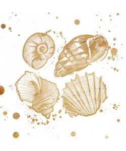 Jace Grey, GOLD SPLATTER SHELLS II