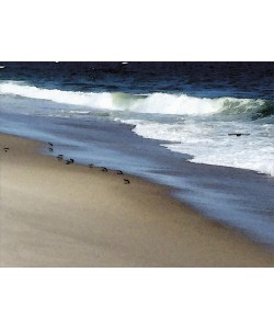 Jeff Pica, WEST COAST SHORE