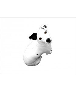 Jeff Pica, JACK RUSSELL BUDDY I
