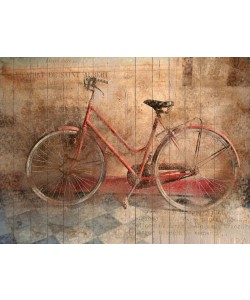 Kimberly Allen, RUSTY BICYCLE