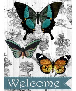 Kimberly Allen, WELCOME BUTTERFLIES