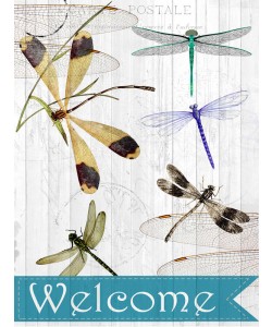 Kimberly Allen, WELCOME DRAGONFLIES