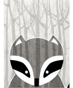 Kimberly Allen, WOODLAND RACOON