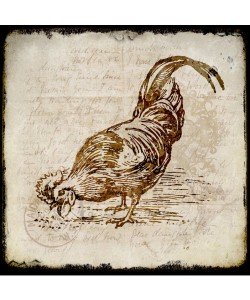 Kimberly Allen, VINTAGE ROOSTER SQUARE III