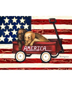 Laurie Korsgaden, AMERICA FRIEND I