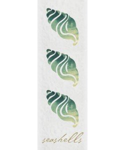 Melody Hogan, PANEL SEASHELLS