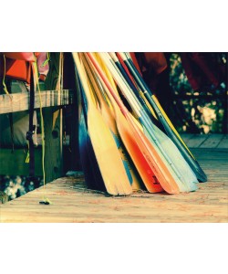 Sonja Quintero, CANOES II