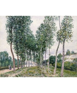 Alfred Sisley, Pappelallee am Ufer des Loing. 1892