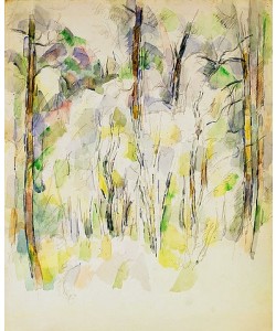 Paul Cézanne, Unterholz (Sous-bois). Um 1900-04