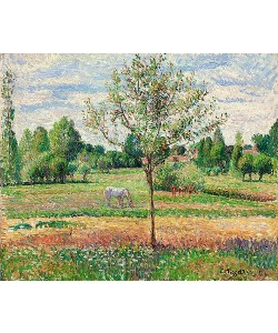 Camille Pissarro, Wiese mit Schimmel, Eragny (Le Pré avec Cheval Gris, Eragny). 1893