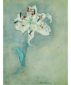 Piet Mondrian, Lilie. Um 1920-25