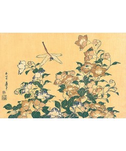 Katsushika Hokusai, Chinesische Glockenblume und Libelle. Aus 'Die große Blumenserie'.