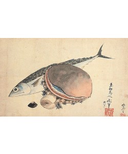 Katsushika Hokusai, Makrele und Seemuscheln. 1840