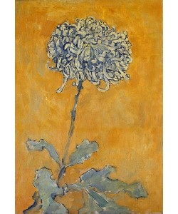 Piet Mondrian, Chrysantheme.