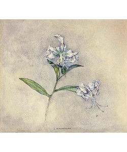 Piet Mondrian, Zwei japanische Lilien (Deux Lilies Japonaises). 1915-24