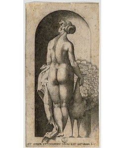 Raffael (Raffaello Sanzio), Venus.
