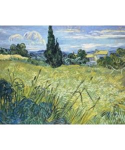 Vincent van Gogh, Grünes Weizenfeld mit Zypresse. 1889.