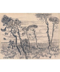 Vincent van Gogh, Sechs Pinien nahe der Einzäunung. 1889