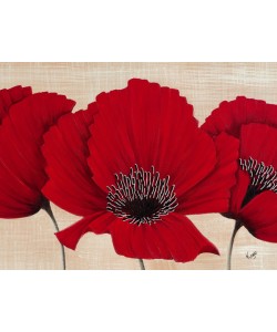 Kaye Lake, LINEN POPPY