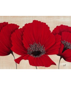 Kaye Lake, LINEN POPPY