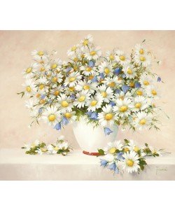 Fasani, MEDLEY WITH DAISIES