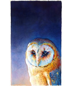 Jan van der Scheer, Barn owl III