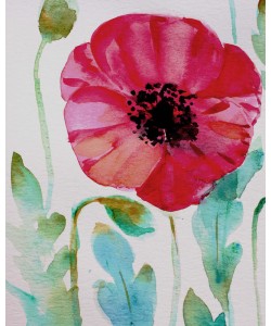 Boho Hue Studio, Pixie Pop 4