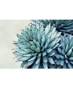 Elizabeth Urquhart, Green Crush IX