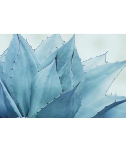 Elizabeth Urquhart, Green Crush V