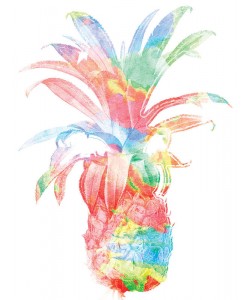 Jace Grey, Colorful pineapple clean