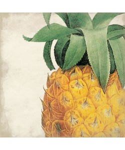 Jace Grey, Pineapple