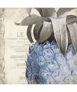 Jace Grey, Pineapple blue