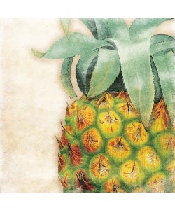 Jace Grey, Tropical Pineapple