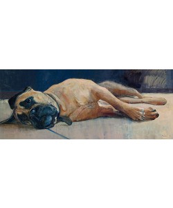Pieter Pander, Gijsje (the 'gallery dog')