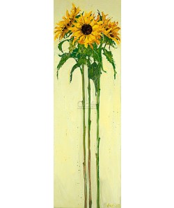 Van der Vegt, Sunflowers