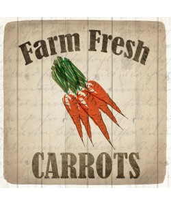 Kimberly Allen, Farm Fresh Carrots