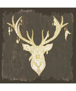 Kimberly Allen, Native Buck