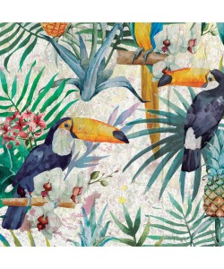 Kimberly Allen, Tropical Life 1